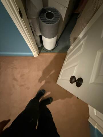 Westex Flooring Westend Velvet Mocassic carpet installation _8