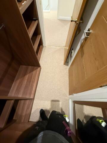 Cavalier carpets owlet screech installation in Kensington