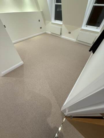 Cavalier carpets owlet screech installation in Kensington