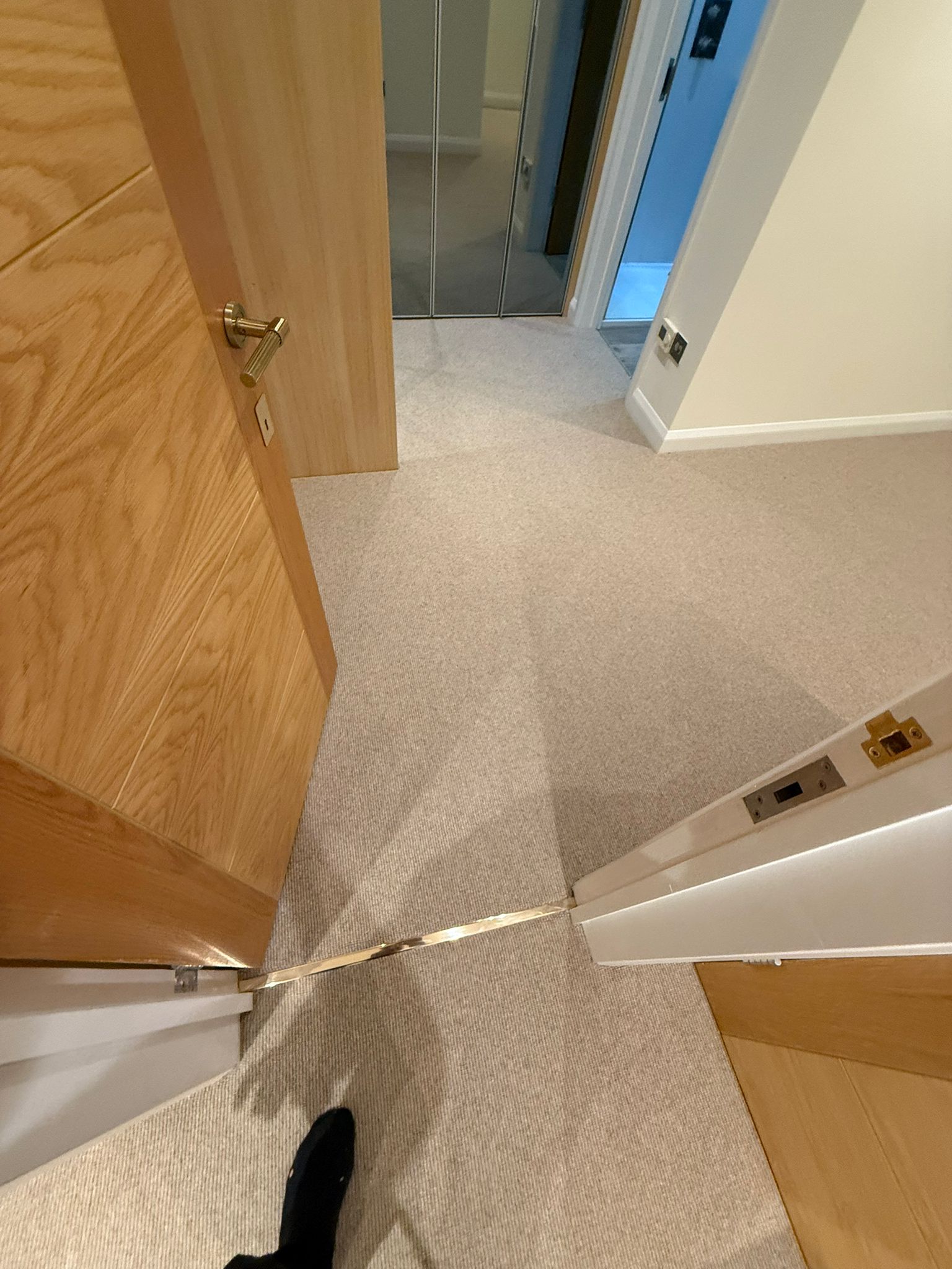 Cavalier carpets owlet screech installation in Kensington