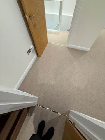 Cavalier carpets owlet screech installation in Kensington