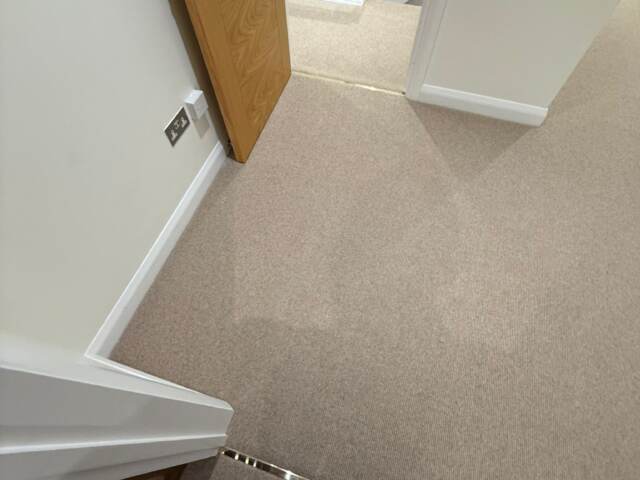 Cavalier Carpets Owlet Screech Installation Fuchs Rooms In Kensington