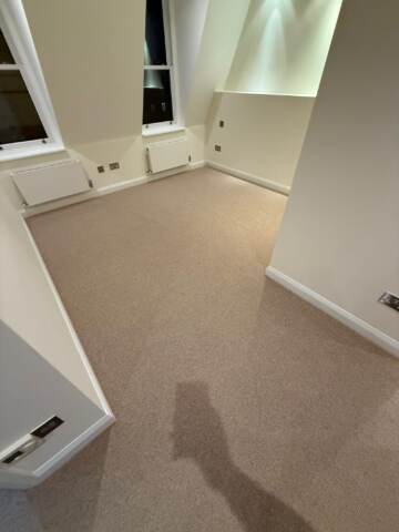 Cavalier carpets owlet screech installation in Kensington