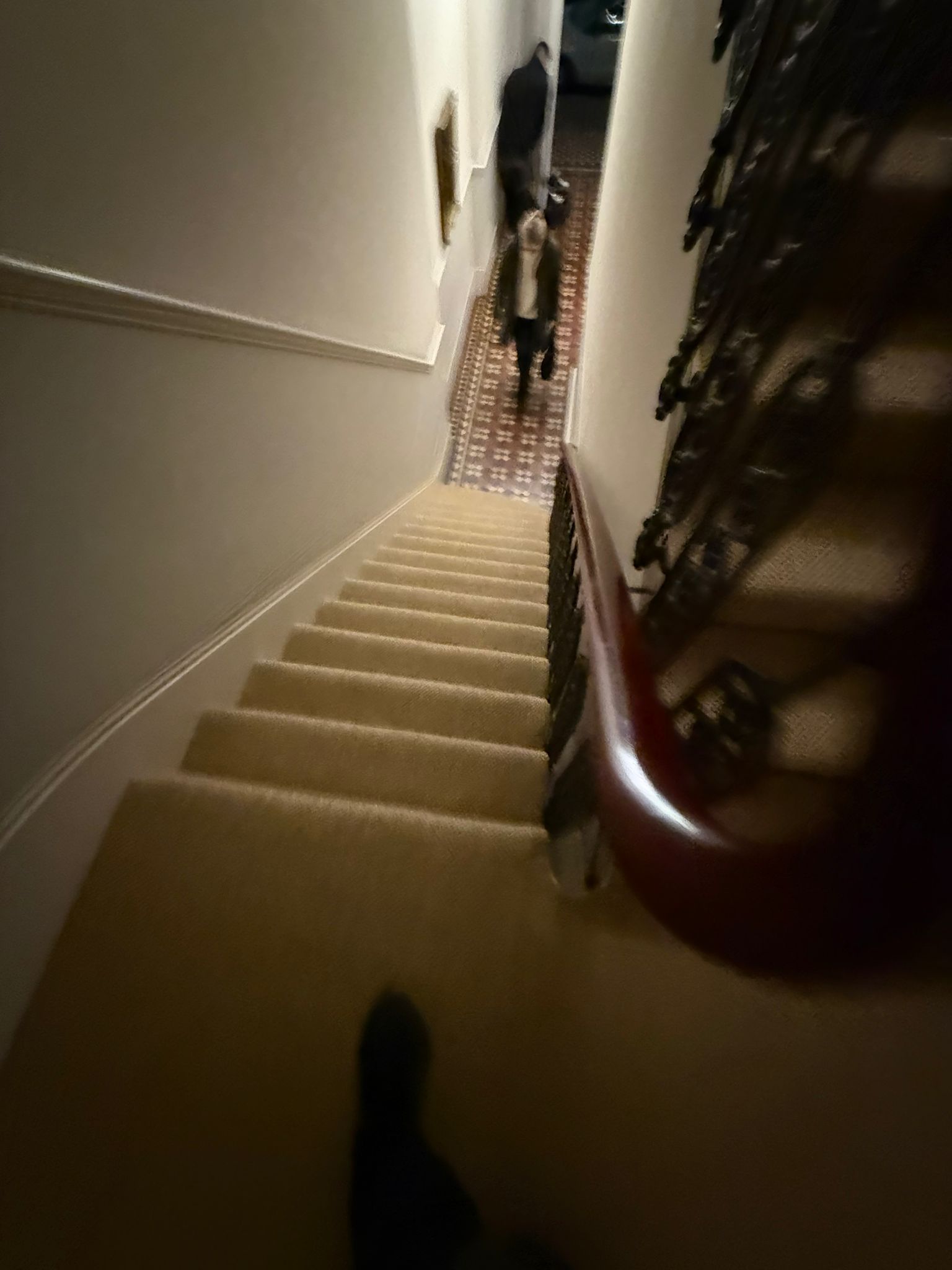 Alternative flooring anywhere carpet panama re-new 8302 installation in morley 4