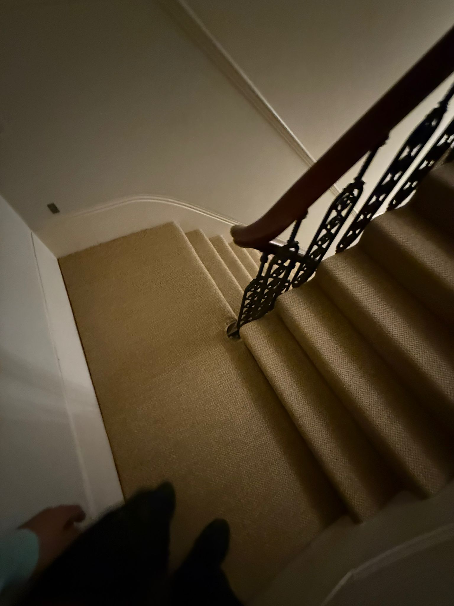 Alternative flooring anywhere carpet panama re-new 8302 installation in morley