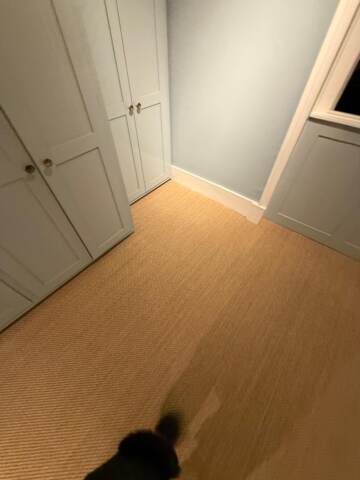 Crucial trading oriental silver e101 carpet installation in Islington