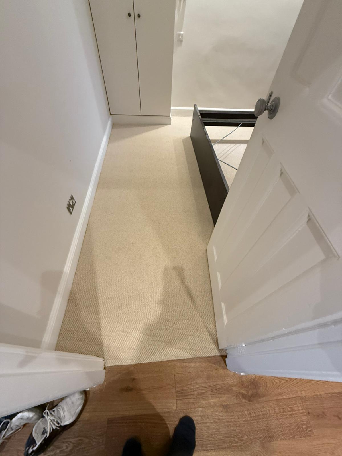 Cavalier carpets owlet eagle installation in Westminster