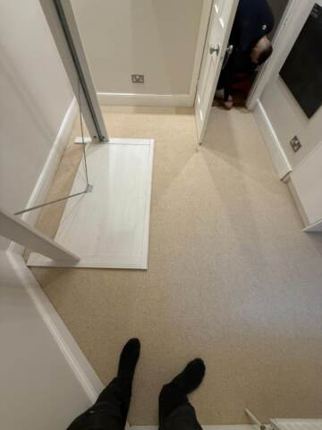 Cavalier carpets owlet eagle installation in Westminster