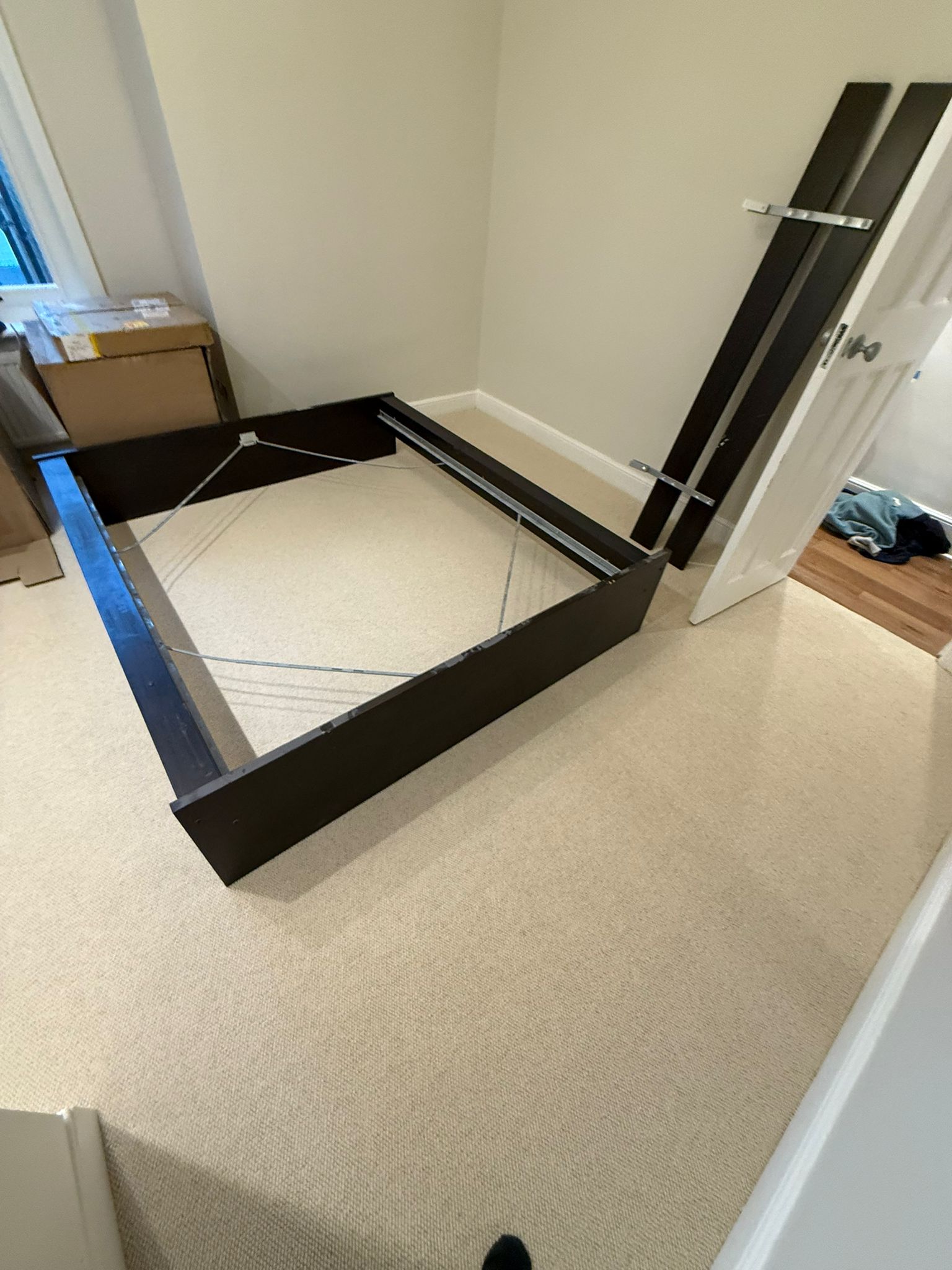 Cavalier carpets owlet eagle installation in Westminster