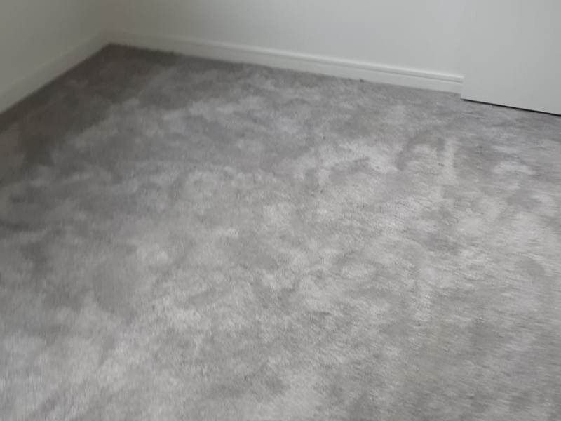 Cavalier Carpets Silken Chiffon Carpet In Chelsea - Carpet - Chelsea - Residential