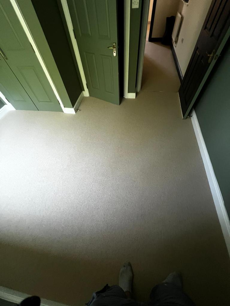 Clarendon Carpets Mayfair Fitting In Putney - Carpet - Mayfair - Putney - Residential