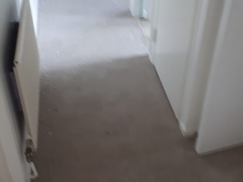 Clarendon Carpets New Elite Twist Beech Carpet - Carpet - Canary Wharf - Residential