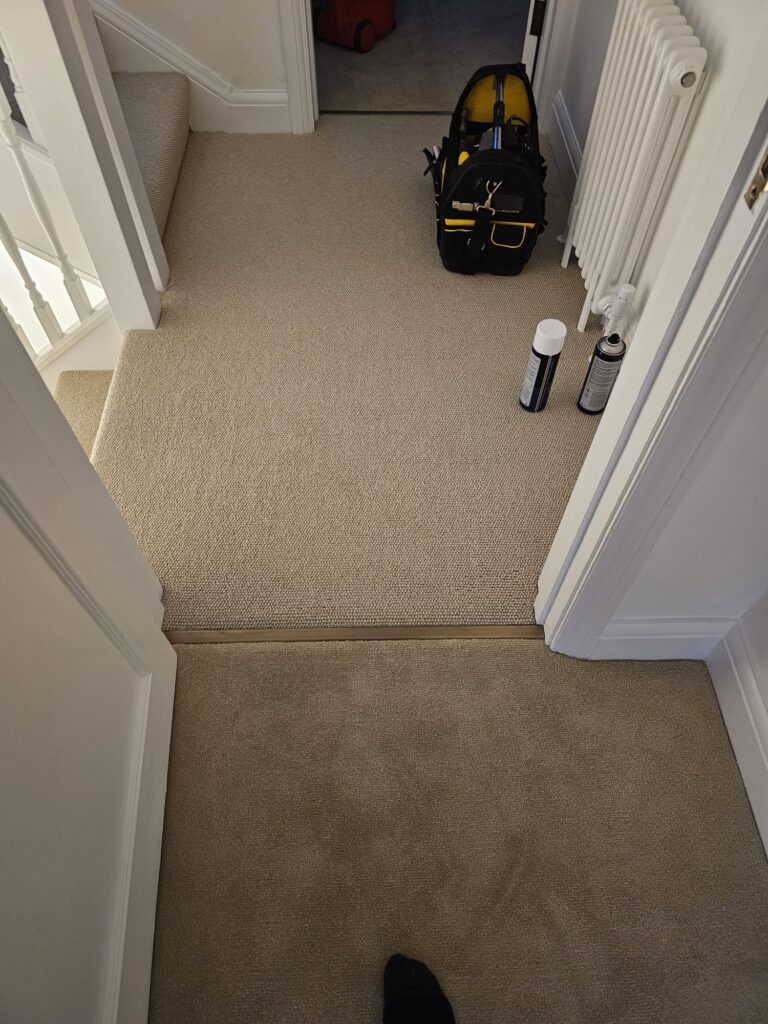 Clarendon Carpets New Elite Twist Maple Instalment In Paddington - Carpet - Paddington - Residential