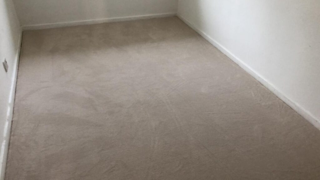 Clarendon Carpets Velvet Eggshell Installation In Richmond - Carpet - Richmond - Residential