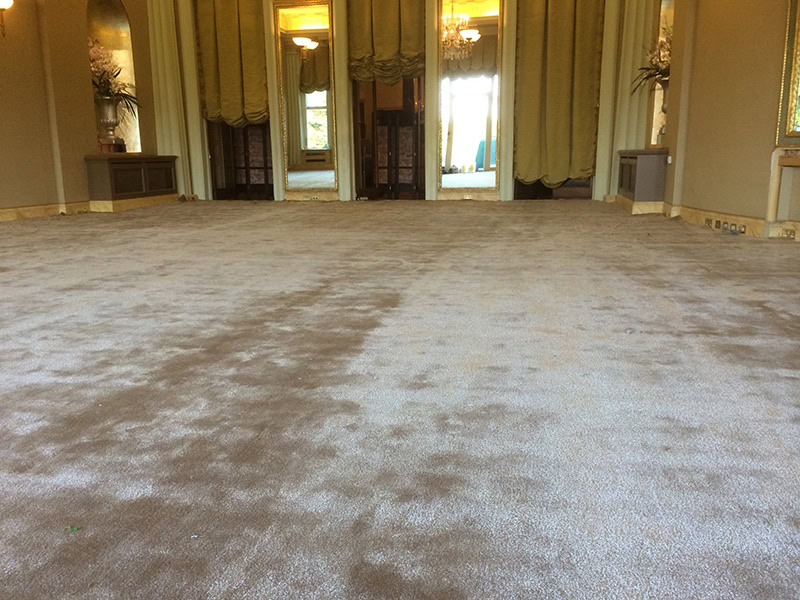 Main Area - Carpet - Commercial