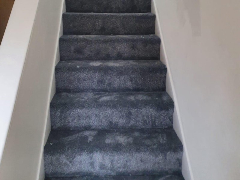 Condor Carpets Oxford 277 Carpet - Carpet - Commercial