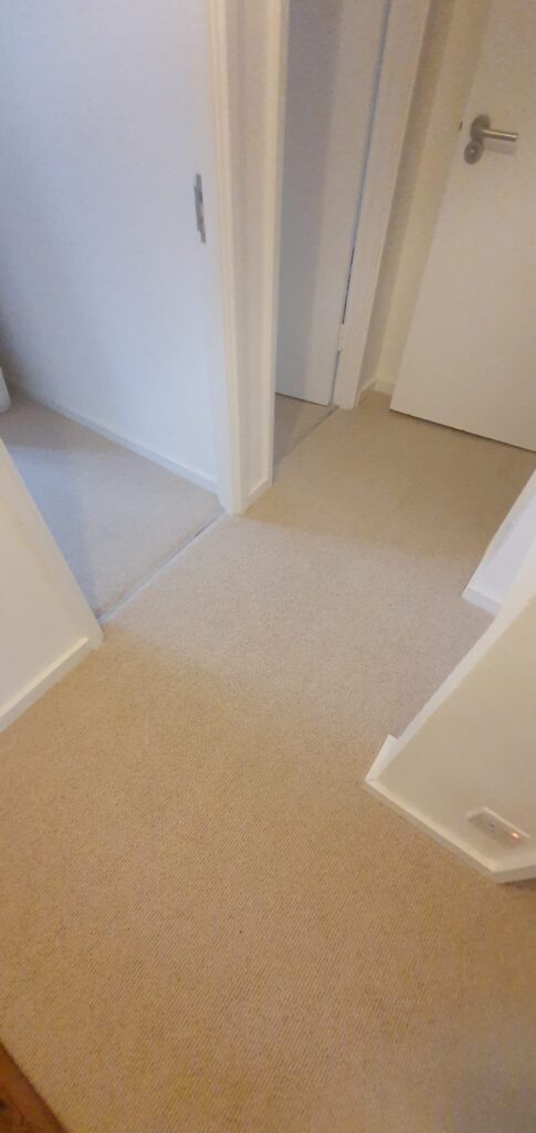 Fibre Carpets Wool Arcadian Heligan Installation In Camden - Carpet - Camden - Residential