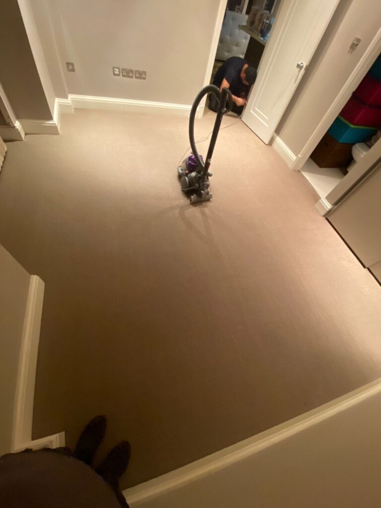 Jabo Carpets 9421 - 620 Installation In Mayfair - Carpet - Mayfair - Residential