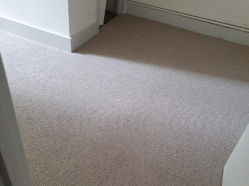 Kingsmead Carpets Natural World Rocky Coast Knot Carpet In Paddington - Carpet - Paddington - Residential