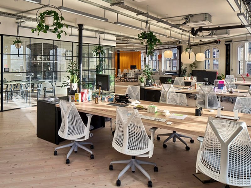 Karelia Wood Ash Flooring In Central London Office - Wood Flooring - Victoria - Commercial