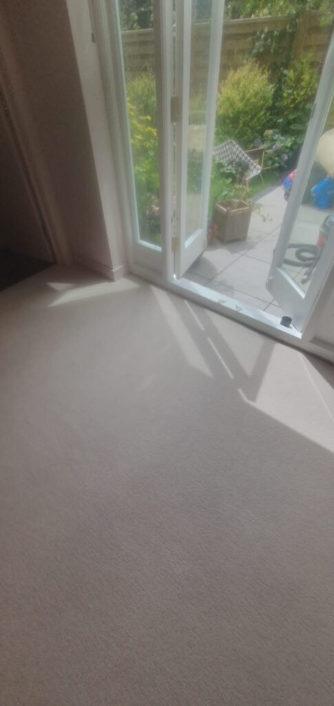 Westex Flooring Barrington Loop Thatcher Carpet Installation In Kings Cross - Carpet - Commercial