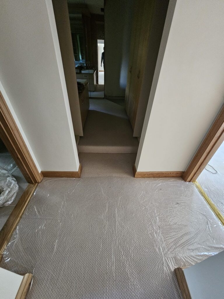 Westex Flooring Natural Loop Collection Boucle Thatch Carpet Installation In Barnes - Carpet - Barnes - Commercial