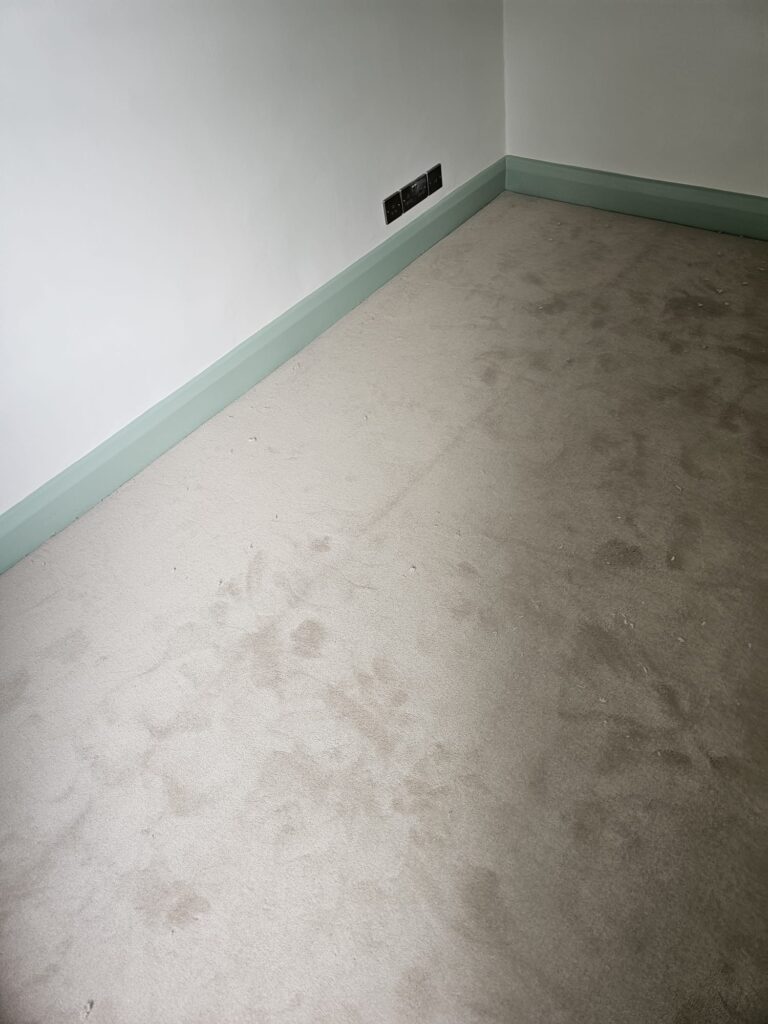 Westex Flooring Westend Velvet Marshmallow Carpet Installation In Westminster - Carpet - Westminster - Residential