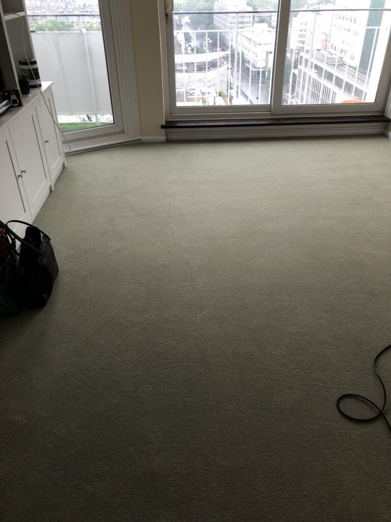 Westex Natural Loop Briar Stucco Installation In Notting Hill - Carpet - Notting Hill - Residential