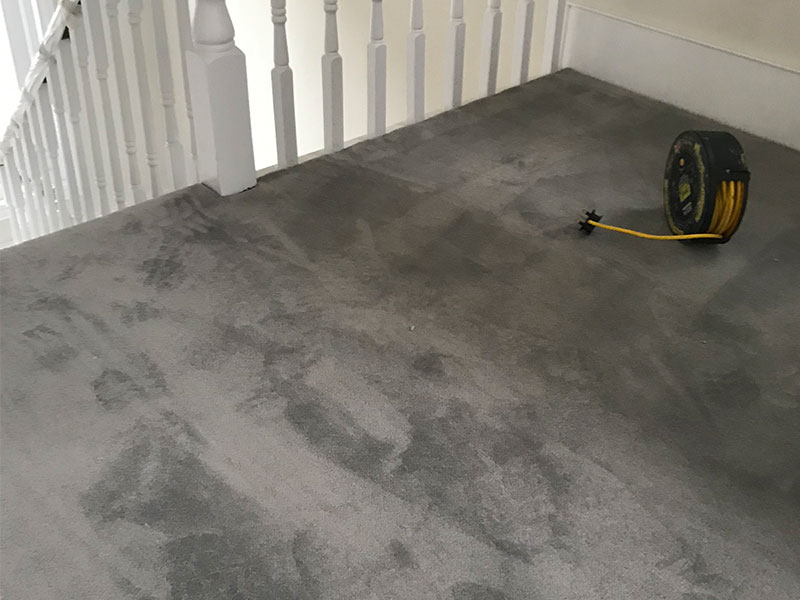 Luxury Carpet Fitted In Earls Court - Carpet - Earls Court - Residential