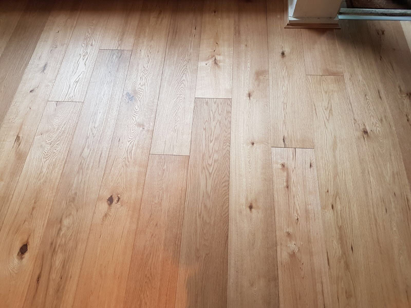 Bedrooms - Wood Flooring - Residential