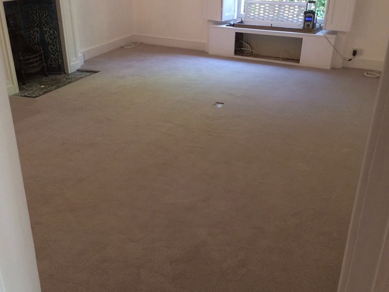 Carpet - Home 45707 - Carpet - Residential