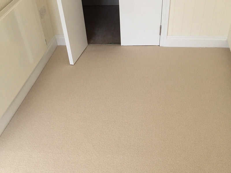 Carpet - Home 38801 - Carpet - Residential