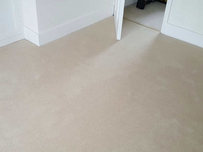 Carpet - Home 40993 - Carpet - Residential