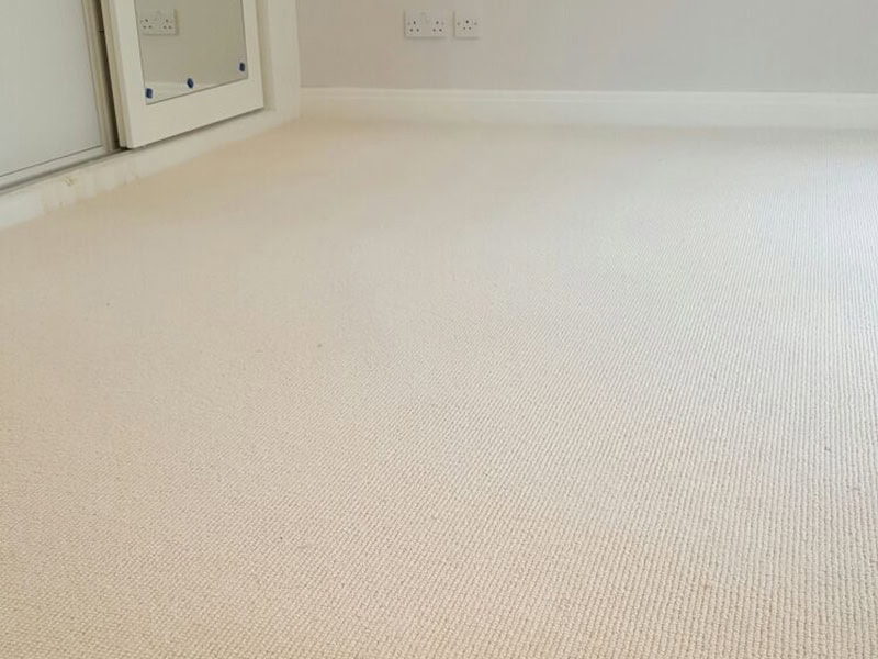Carpet - Home 38706 - Carpet - Residential