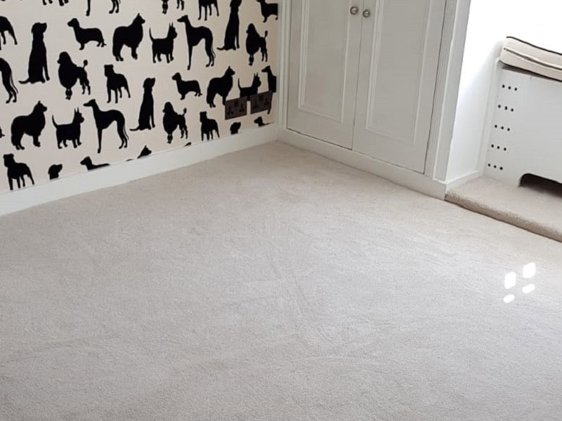 Silk Simulant Carpet Installed In Acton - Carpet - Acton - Residential