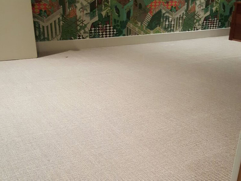 Carpet - Home 42320 - Carpet - Residential