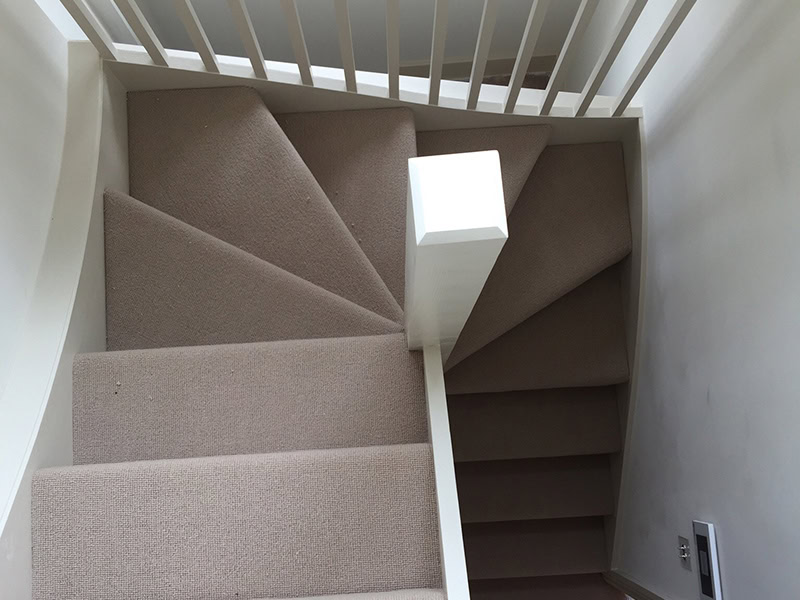 Carpet - Home 38816 - Carpet - Residential