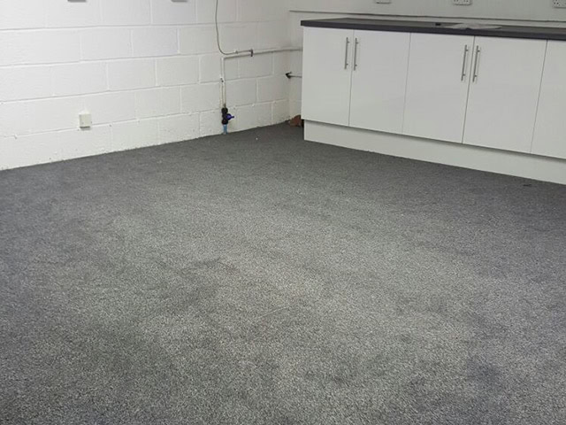 Carpet - Home 36038 - Carpet - Mayfair - Residential