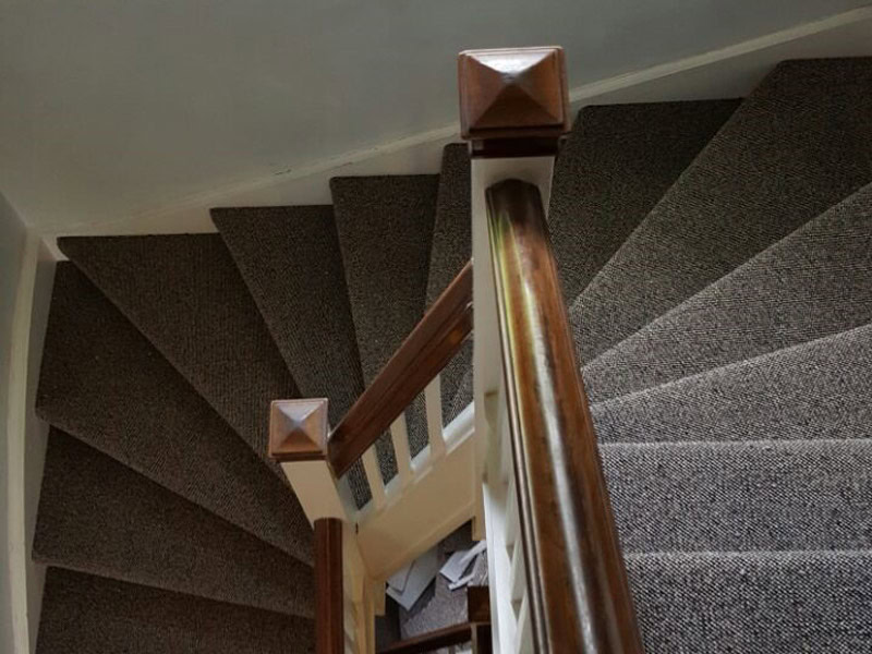 Carpet - Home 33682 - Carpet - Residential