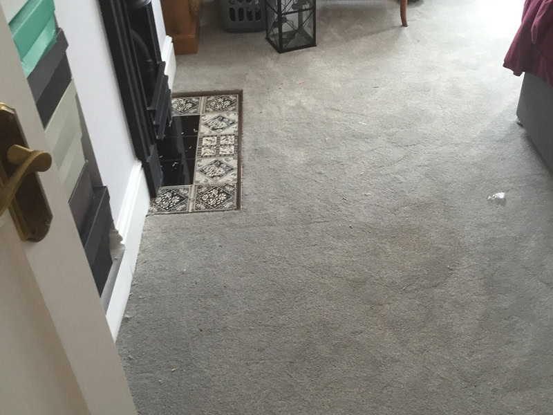 Carpet - Home 41110 - Carpet - Residential