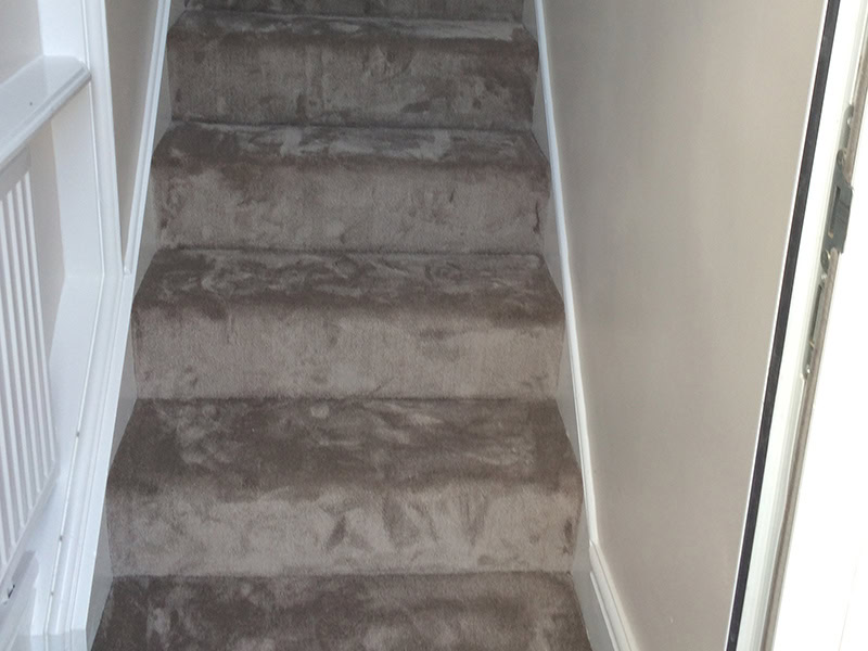 Carpet - Home 40879 - Carpet - Residential