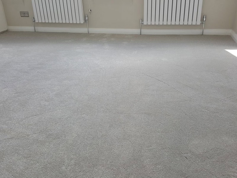 Carpet - Home 45992 - Carpet - Residential