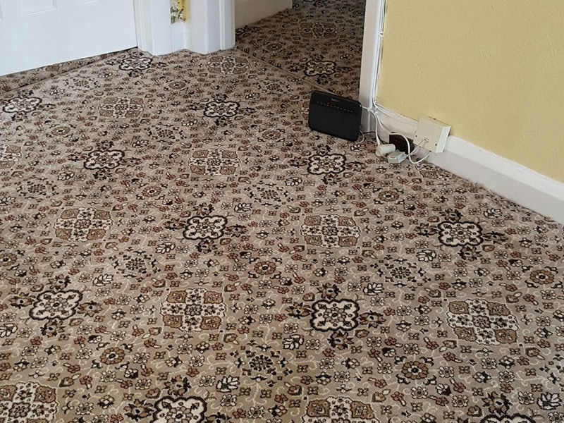 Carpet - Home 40965 - Carpet - Residential
