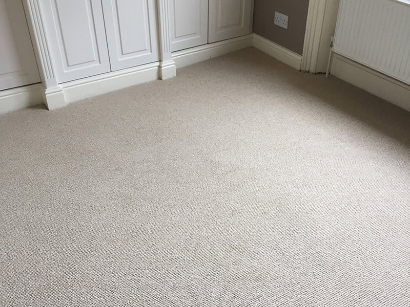 Carpet - Home 38062 - Carpet - Residential
