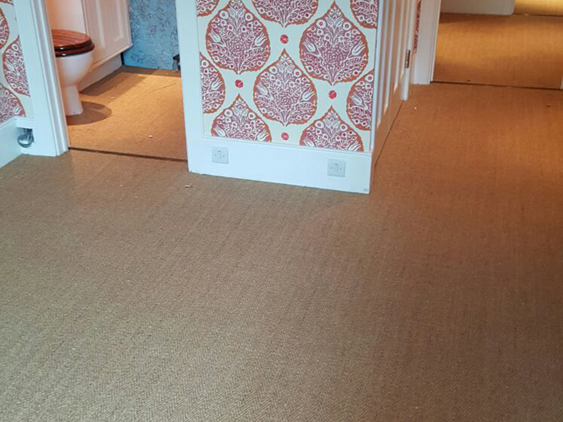Carpet - Home 37043 - Carpet - Residential