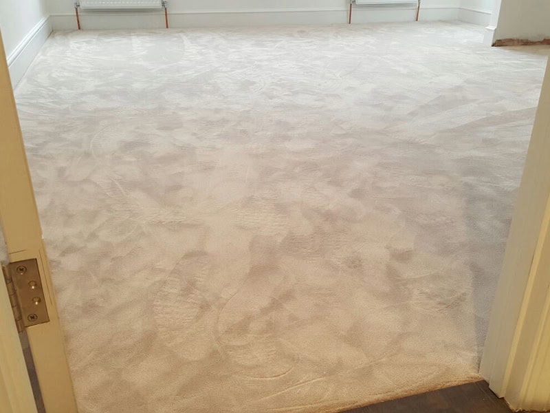 Carpet - Home 36699 - Carpet - Residential