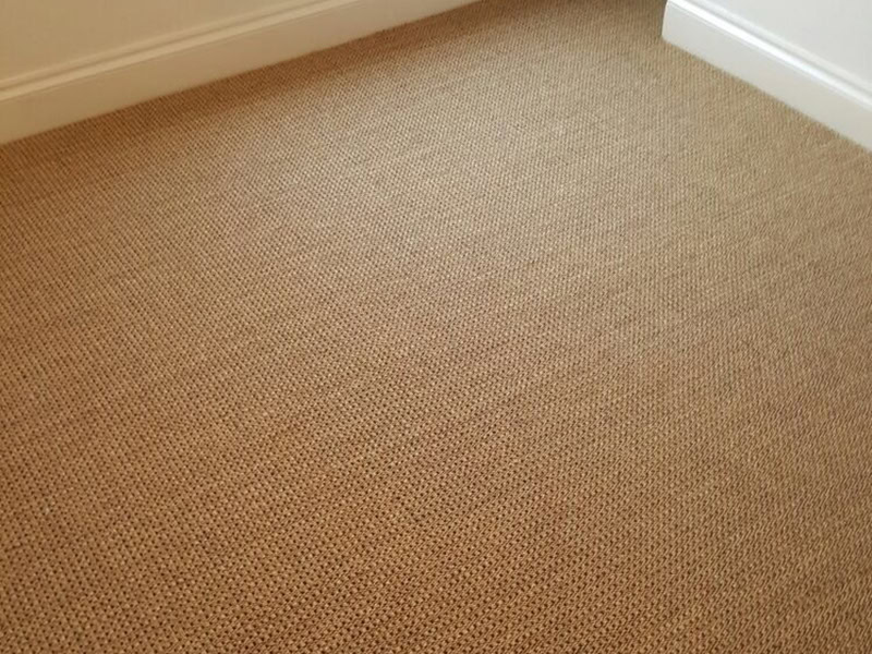 Carpet - Home 44149 - Carpet - Residential
