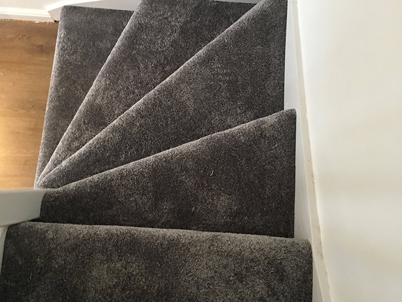Carpet - Home 41423 - Carpet - Residential