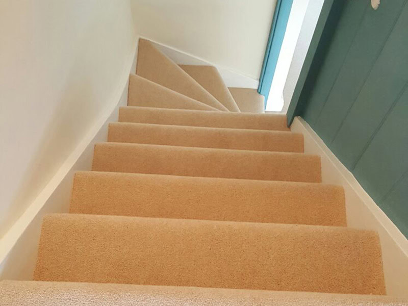 Carpet - Home 38397 - Carpet - Residential