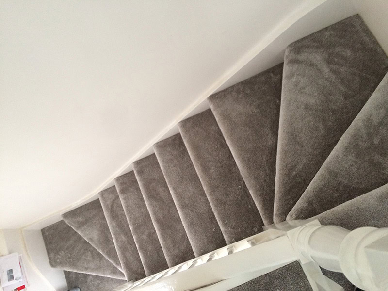 Carpet - Home 35983 - Carpet - Kensington - Residential